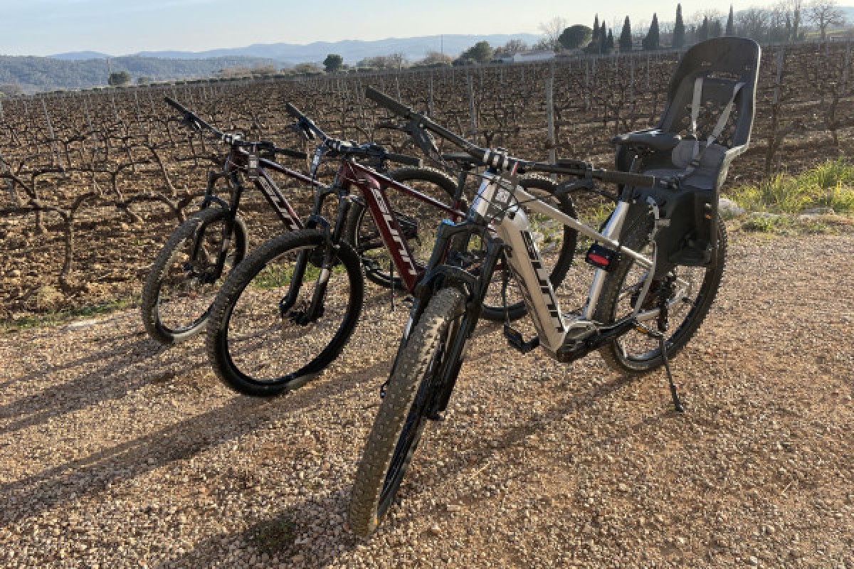 Half-day or full-day bike rental (VTTAE) - Expérience Côte d'Azur