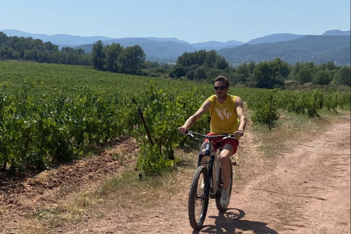 Half-day or full-day bike rental (VTTAE) - Expérience Côte d'Azur