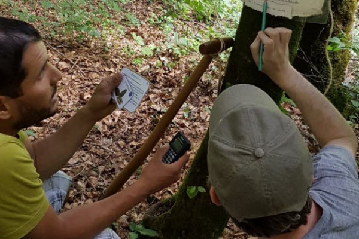 YOUTH Offer - Treasure hunt - Expérience Côte d'Azur