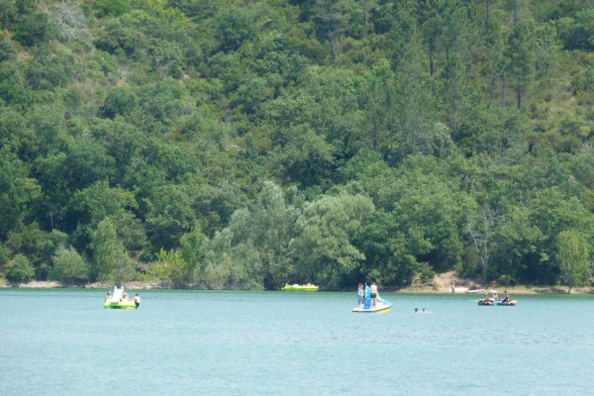 Giant Paddle Rental - Expérience Côte d'Azur