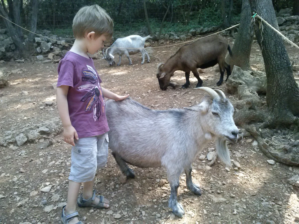 Aoubré Park on sale – Experience a nature adventure with family in Var - Expérience Côte d'Azur