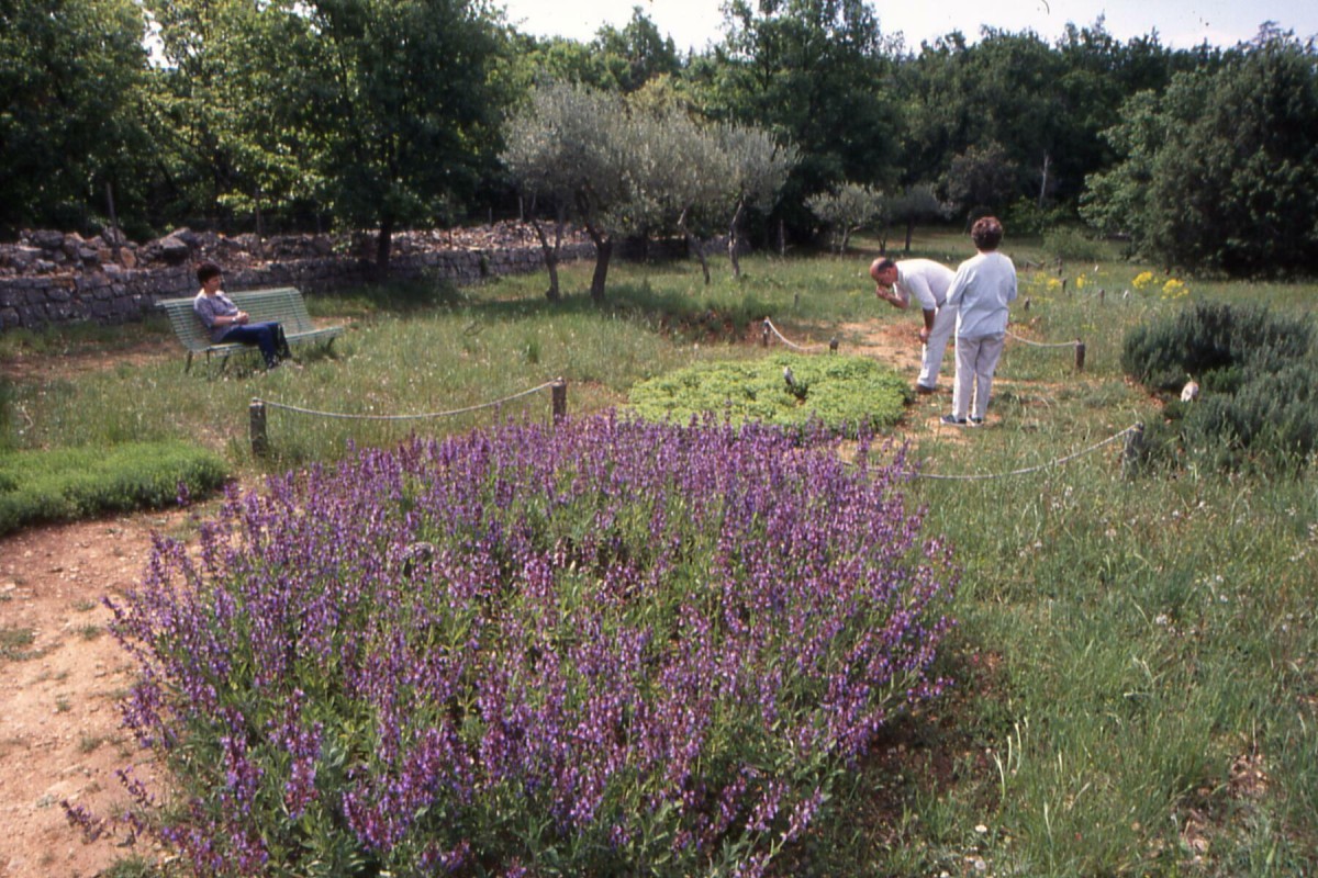 Aoubré Park on sale – Experience a nature adventure with family in Var - Expérience Côte d'Azur