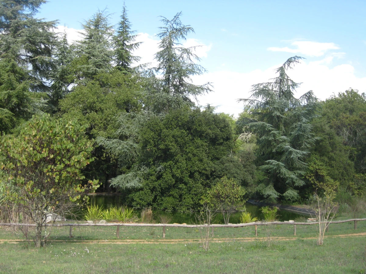 Aoubré Park on sale – Experience a nature adventure with family in Var - Expérience Côte d'Azur