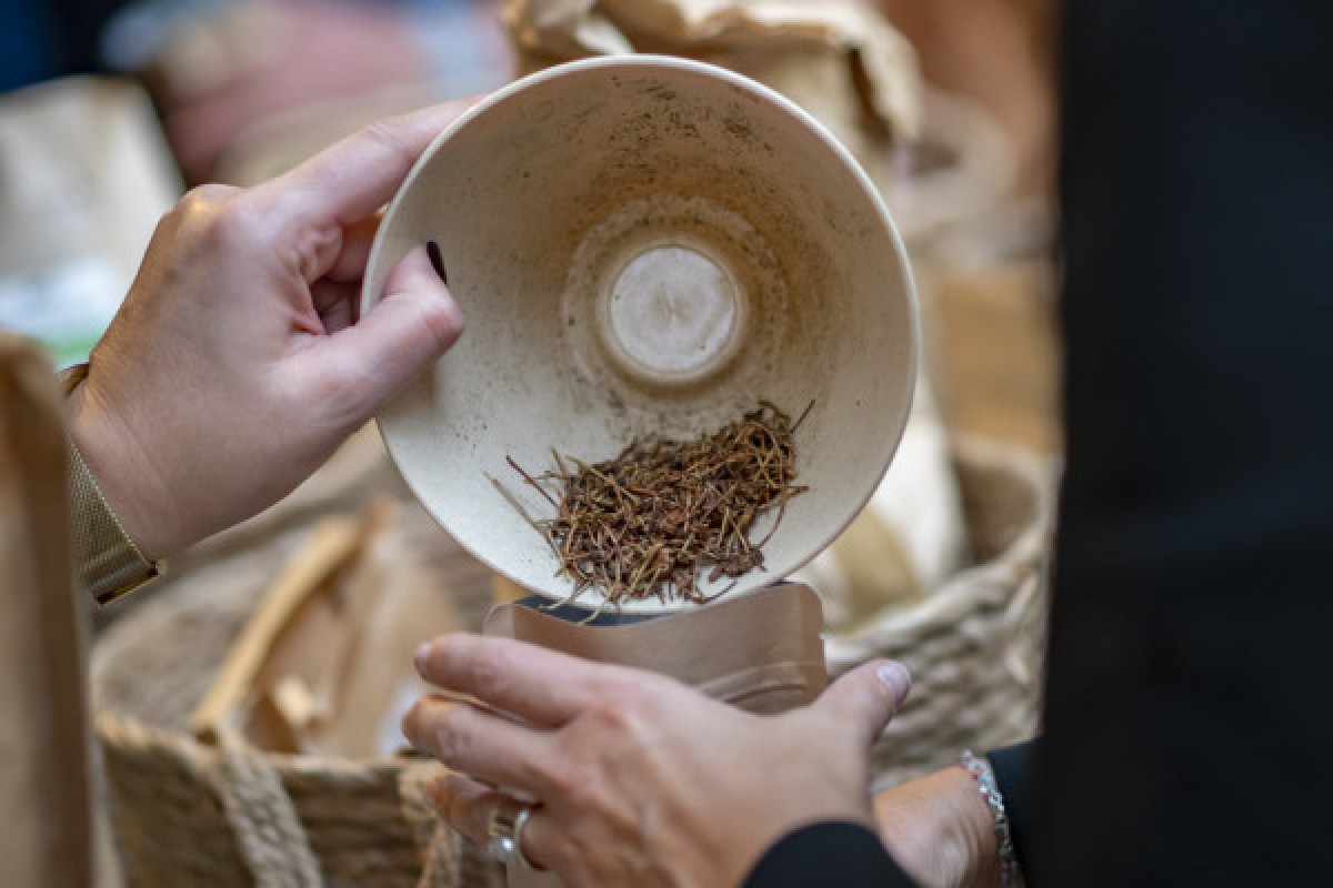 Cap Gaia : Your CSR discovery path - Expérience Côte d'Azur