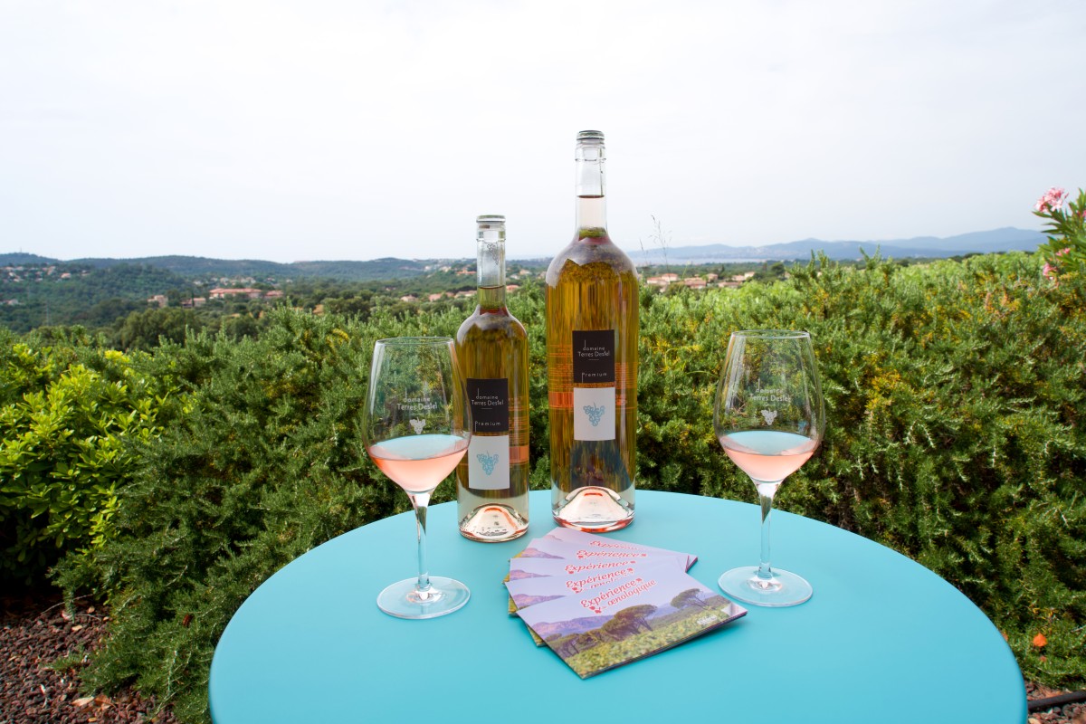 Cheese & Wine tasting break overlooking the vineyards - EVG/JF special - Expérience Côte d'Azur
