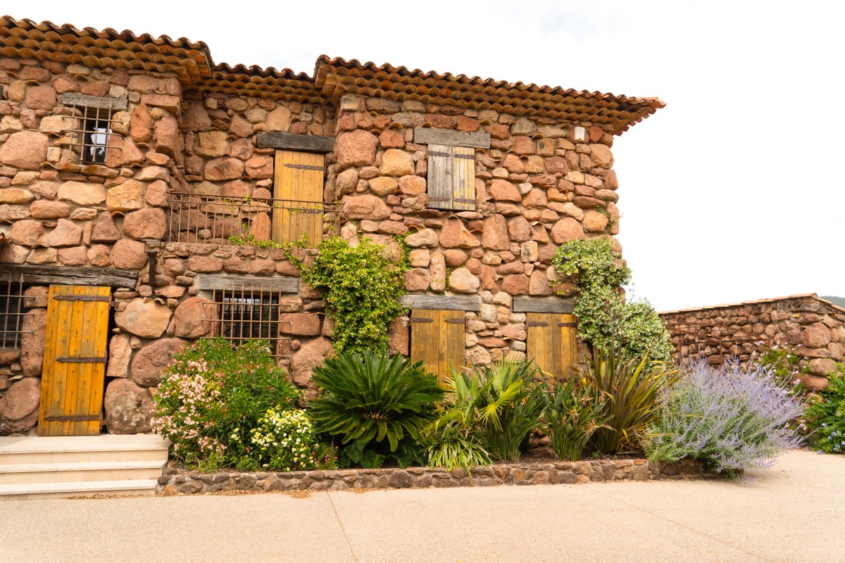 Cheese & Wine tasting break overlooking the vineyards - EVG/JF special - Expérience Côte d'Azur