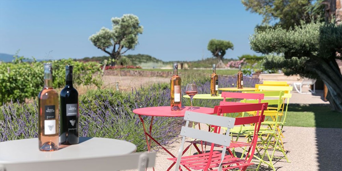 Cheese & Wine tasting break overlooking the vineyards - EVG/JF special - Expérience Côte d'Azur