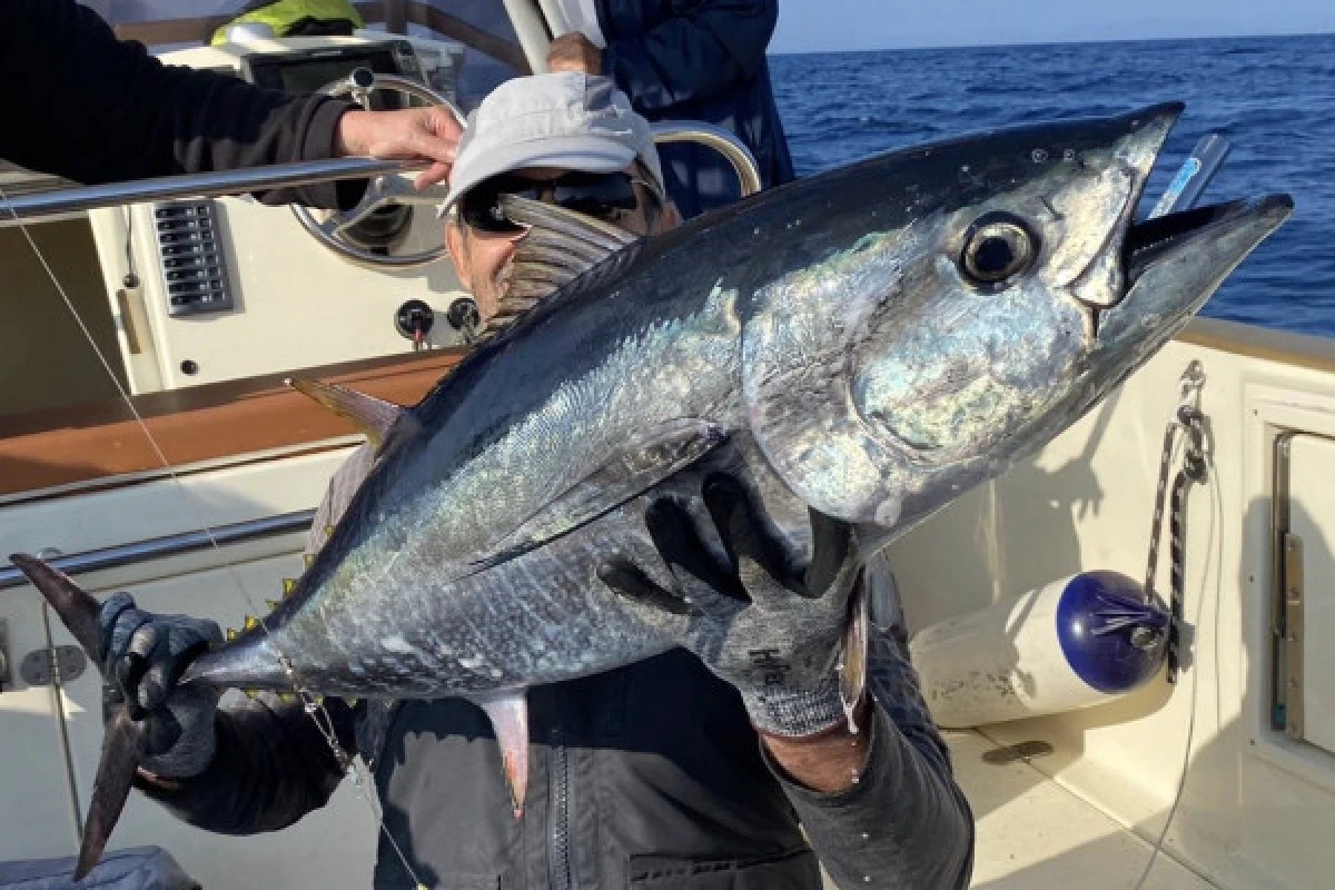 Deep-sea fishing - Fréjus - Expérience Côte d'Azur