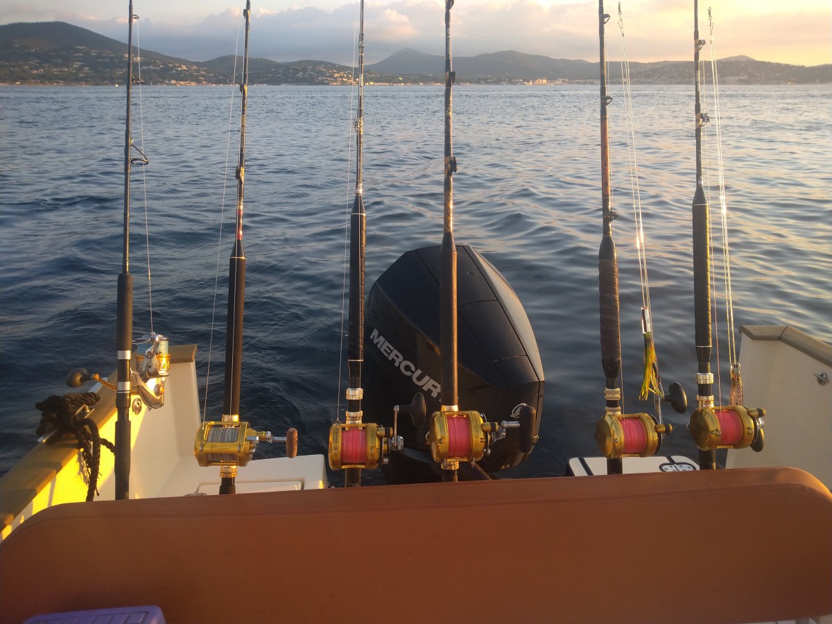 Big Game Fishing Offshore - Fréjus - Expérience Côte d'Azur
