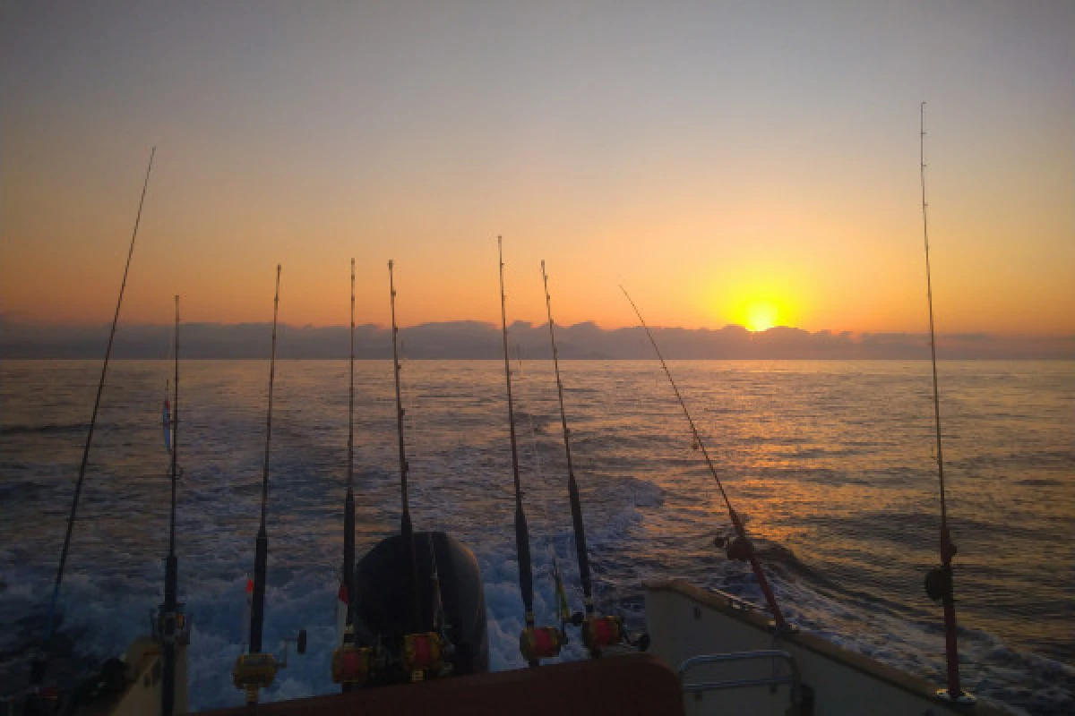 Night fishing for squids and nocturnal fishes - Fréjus - Expérience Côte d'Azur