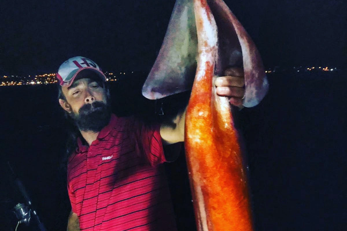 Night fishing for squids and nocturnal fishes - Fréjus - Expérience Côte d'Azur