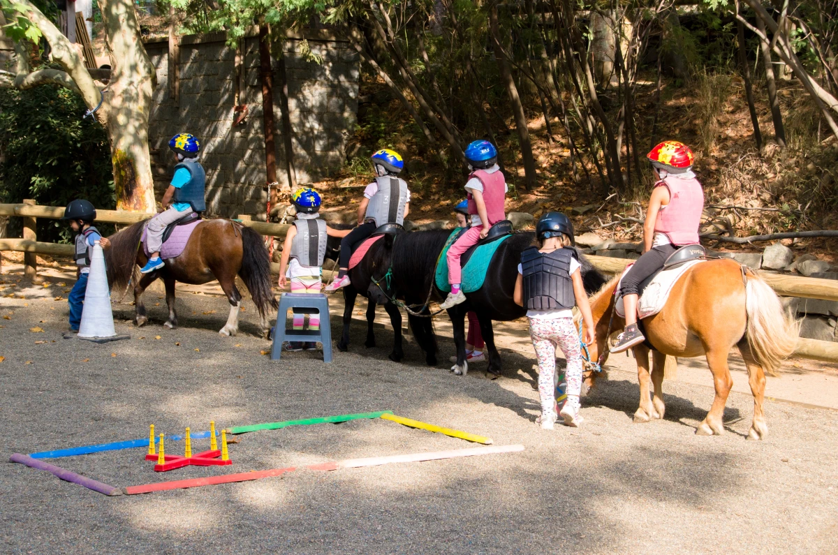 Petits nuages: Horseback riding for children aged 4 to 8: - Expérience Côte d'Azur
