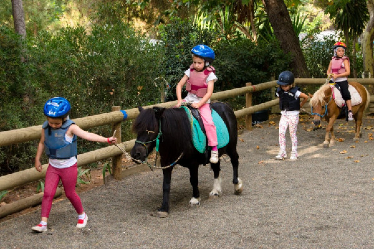 Horse riding for children : Little cloud - Saint-Raphaël - Expérience Côte d'Azur