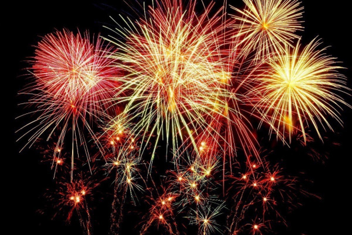 Night Dive  - Fréjus - Expérience Côte d'Azur