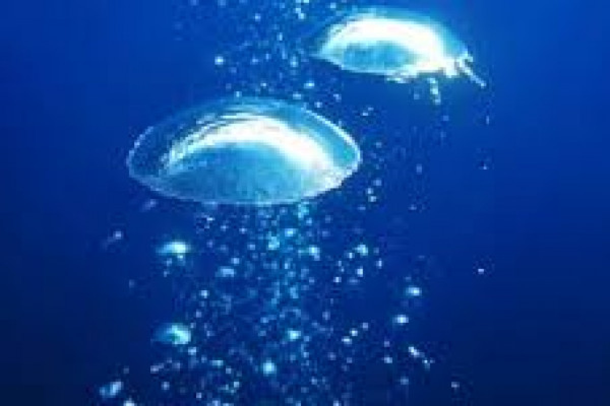 Relaxation dive and stress management - Expérience Côte d'Azur