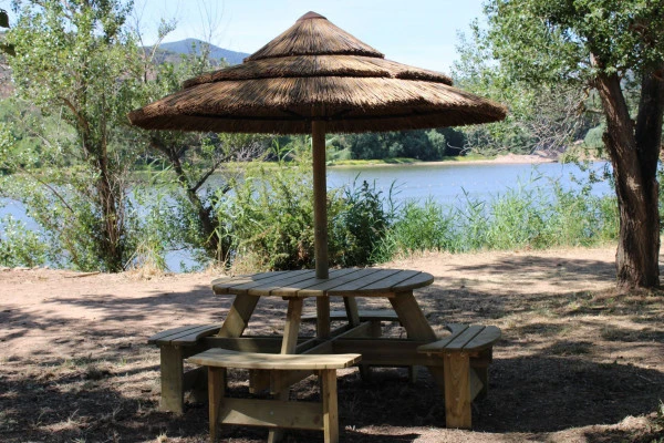 Exotic picnic table - Expérience Côte d'Azur