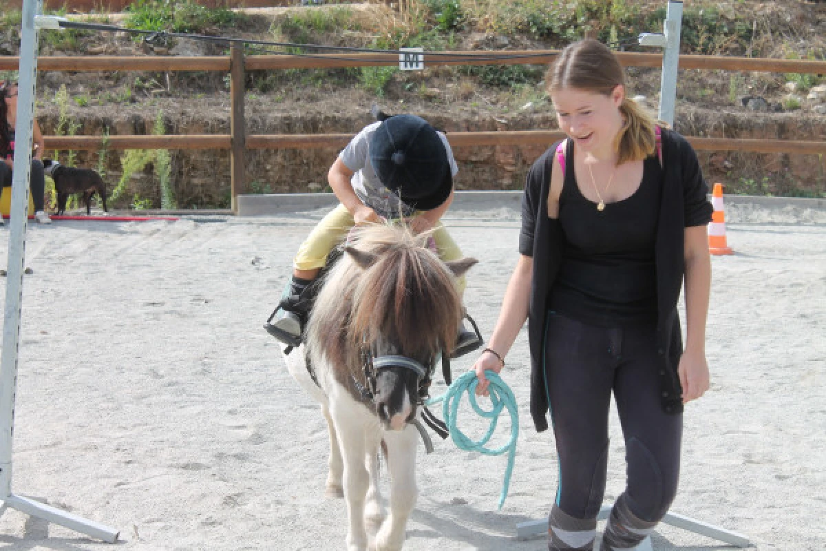 Pony/horse first experience - Expérience Côte d'Azur