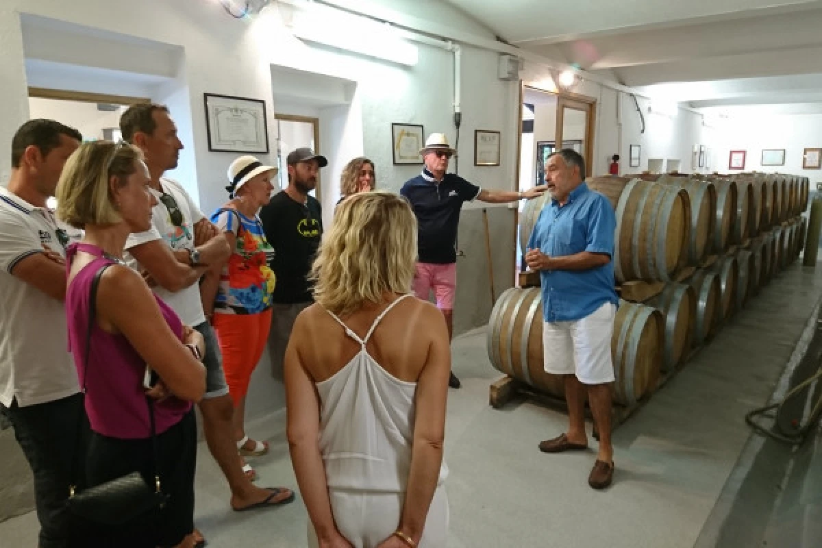 Provence Wine Tour - from Cannes - Expérience Côte d'Azur