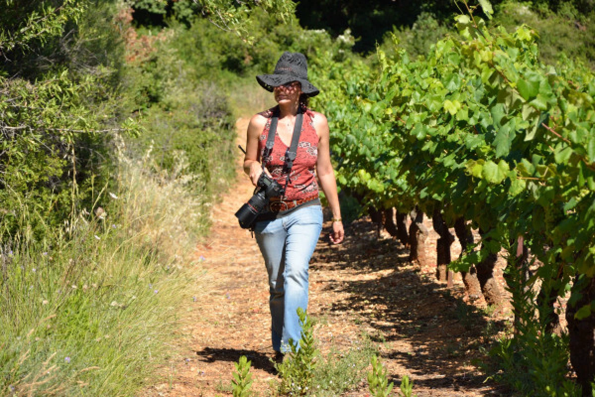 Provence Wine Tour - from Cannes - Expérience Côte d'Azur