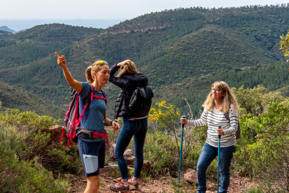 Estérel discovery hike - Adrets de l'Estérel - Expérience Côte d'Azur