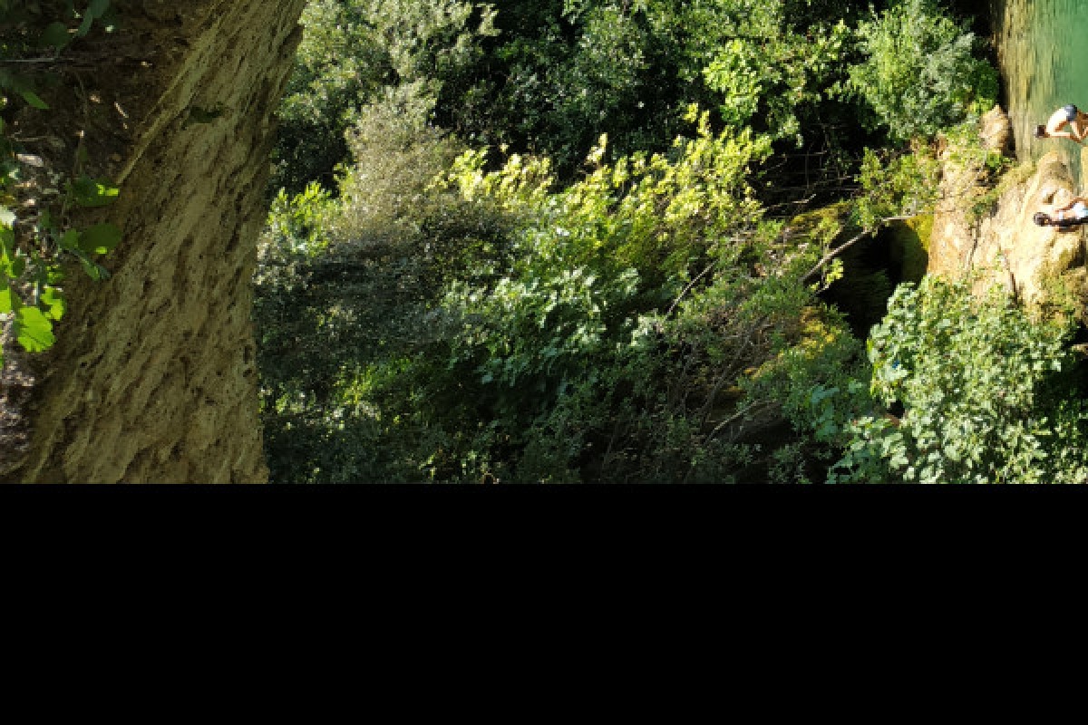 Pays de Fayence discovery hike and edible plants - Expérience Côte d'Azur