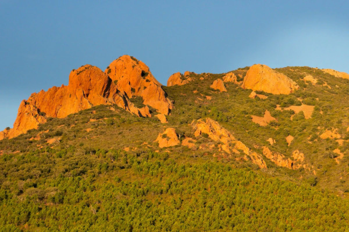 Hiking - Esterel - in the footsteps of St Honorat - Expérience Côte d'Azur