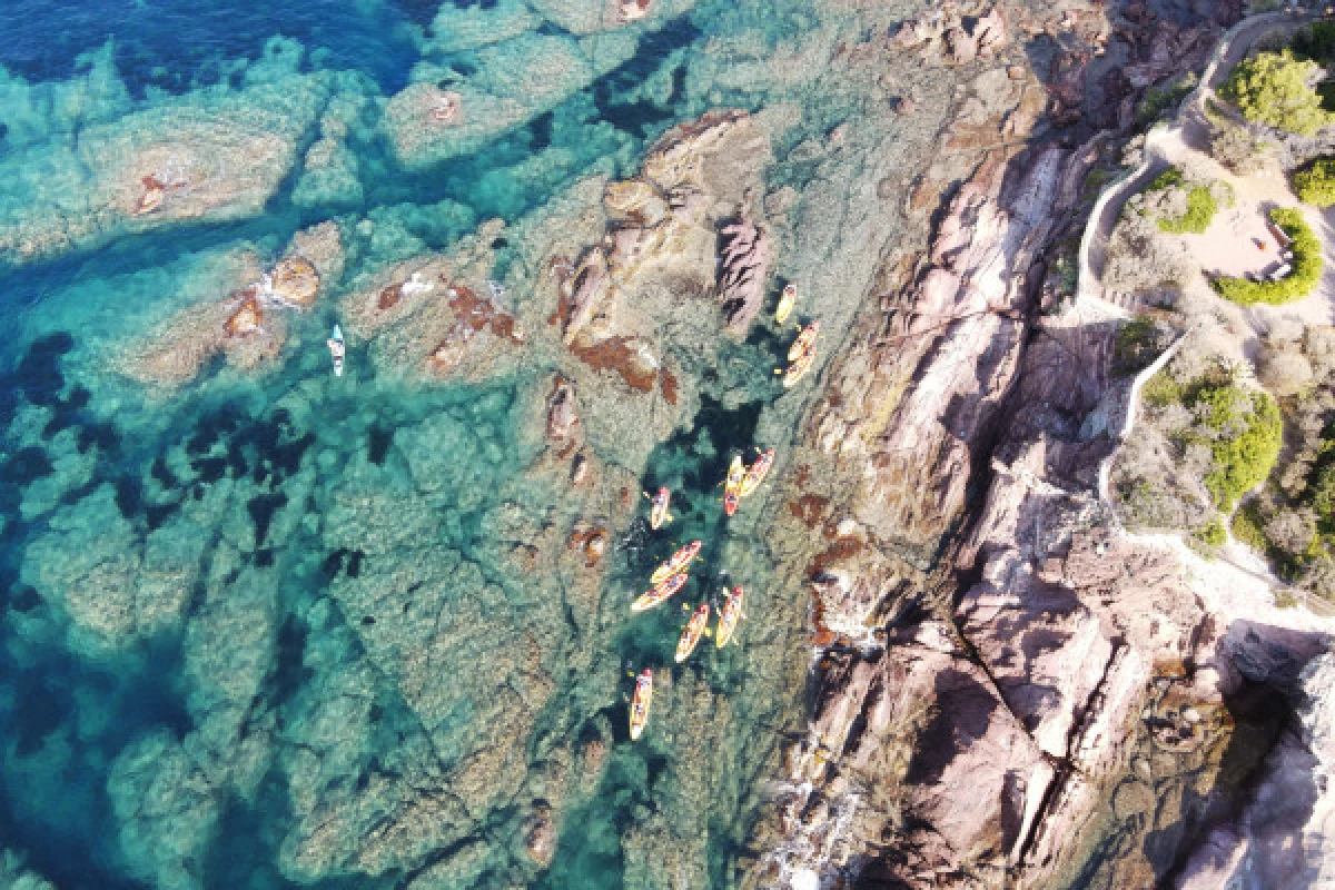 Guided kayak or paddle tour of Agay on the Esterel massif - Expérience Côte d'Azur