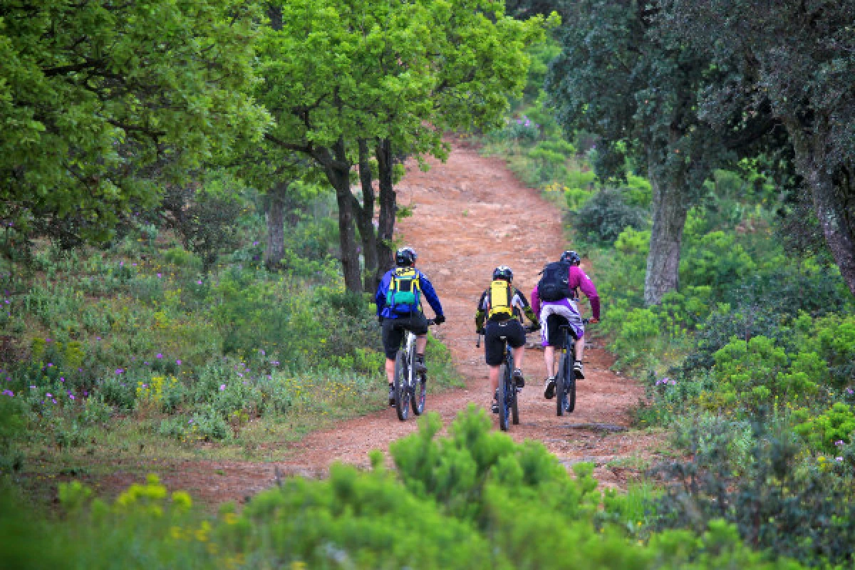 Guided electric mountain bike tour - "BEST OFF of the Saint-Tropez peninsula - Expérience Côte d'Azur