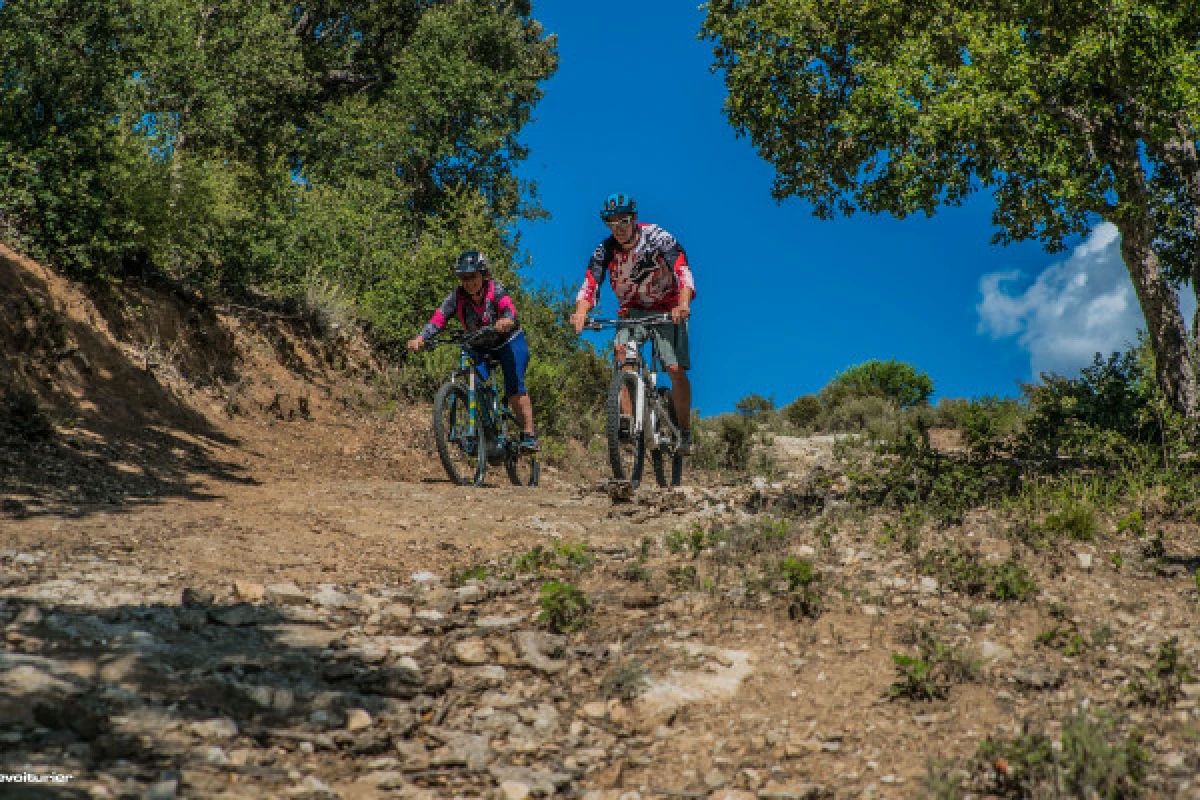 Guided electric mountain bike tour - "BEST OFF of the Saint-Tropez peninsula - Expérience Côte d'Azur