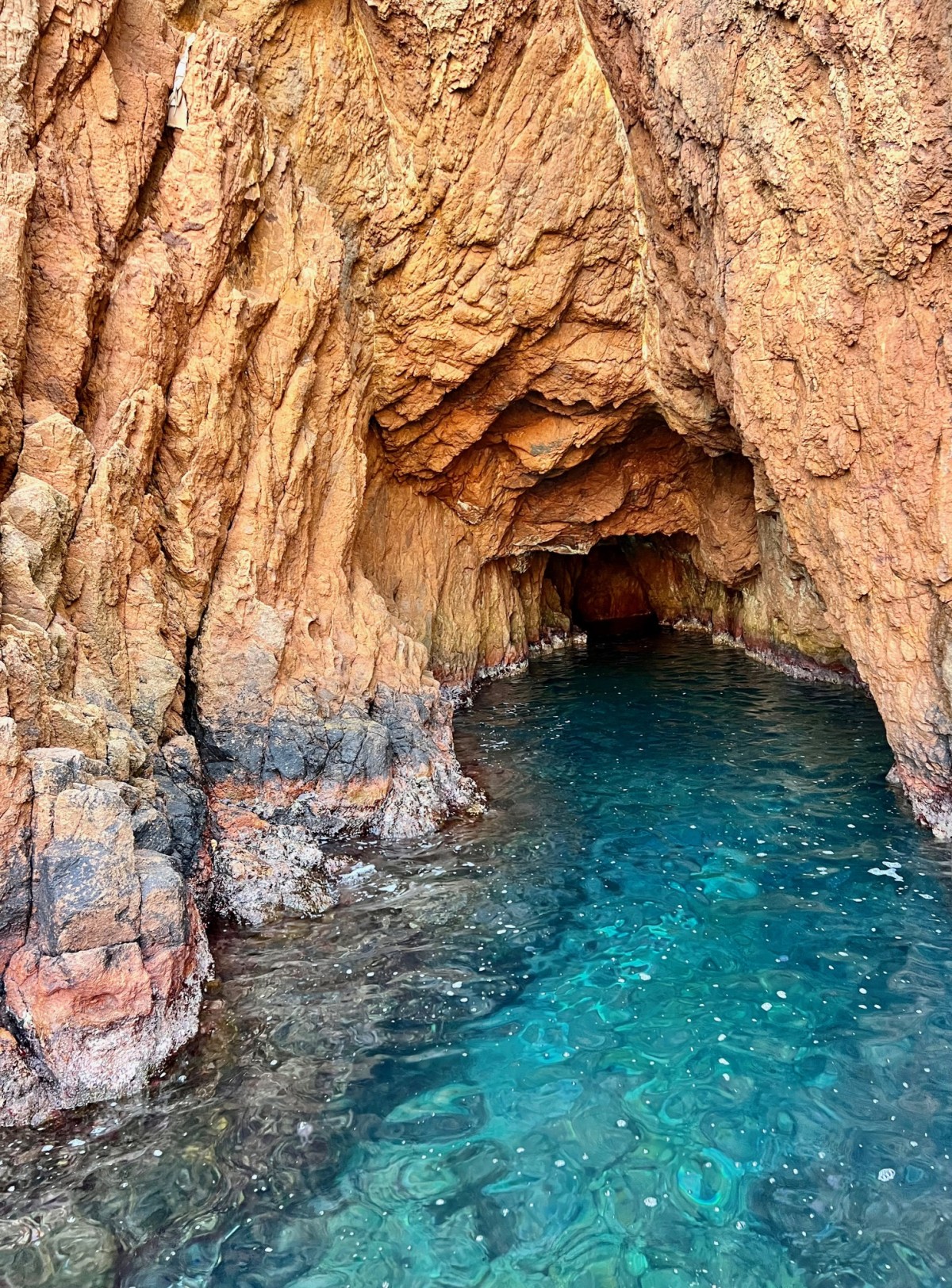 Jet Ski Tour 2h "In the Heart of Estérel" - PROMO - Expérience Côte d'Azur