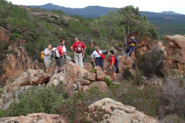 Hiking Gorges du Blavet - Bagnols en Forêt - Expérience Côte d'Azur