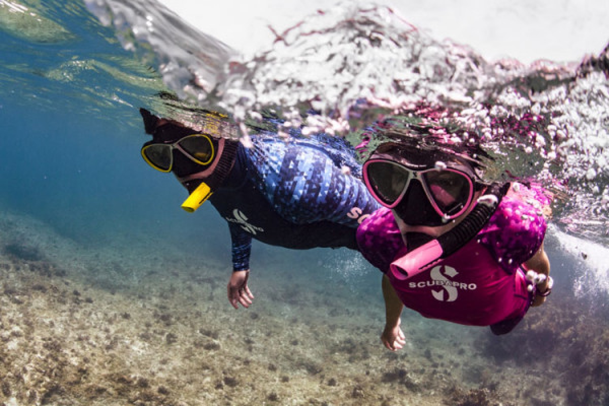Snorkeling - Port Fréjus Plongée - Expérience Côte d'Azur