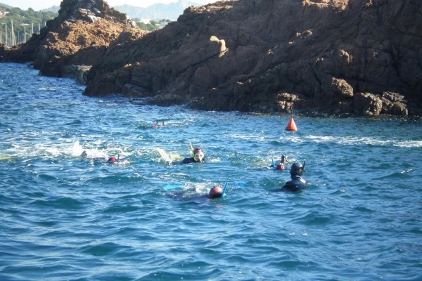 Snorkeling - Europlongée  - Expérience Côte d'Azur