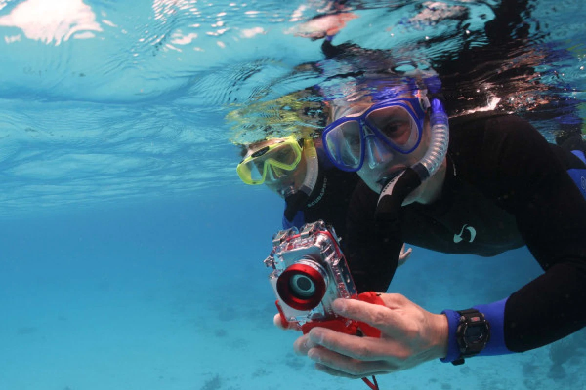 Snorkeling - Port Fréjus - Expérience Côte d'Azur