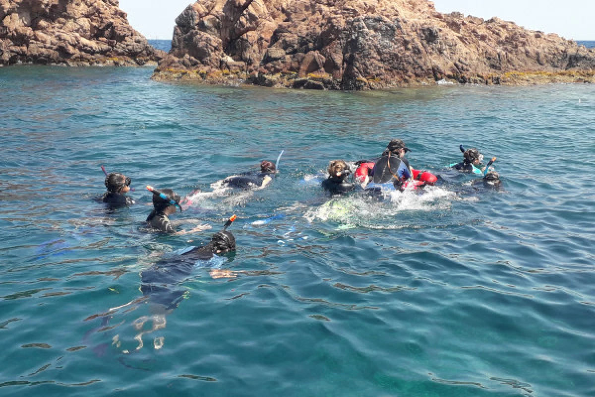 Snorkeling - Port Fréjus - Expérience Côte d'Azur