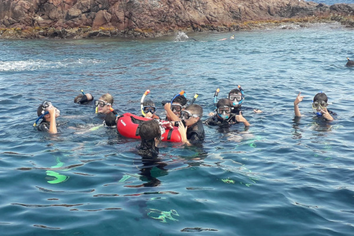 Snorkeling - Port Fréjus - Expérience Côte d'Azur