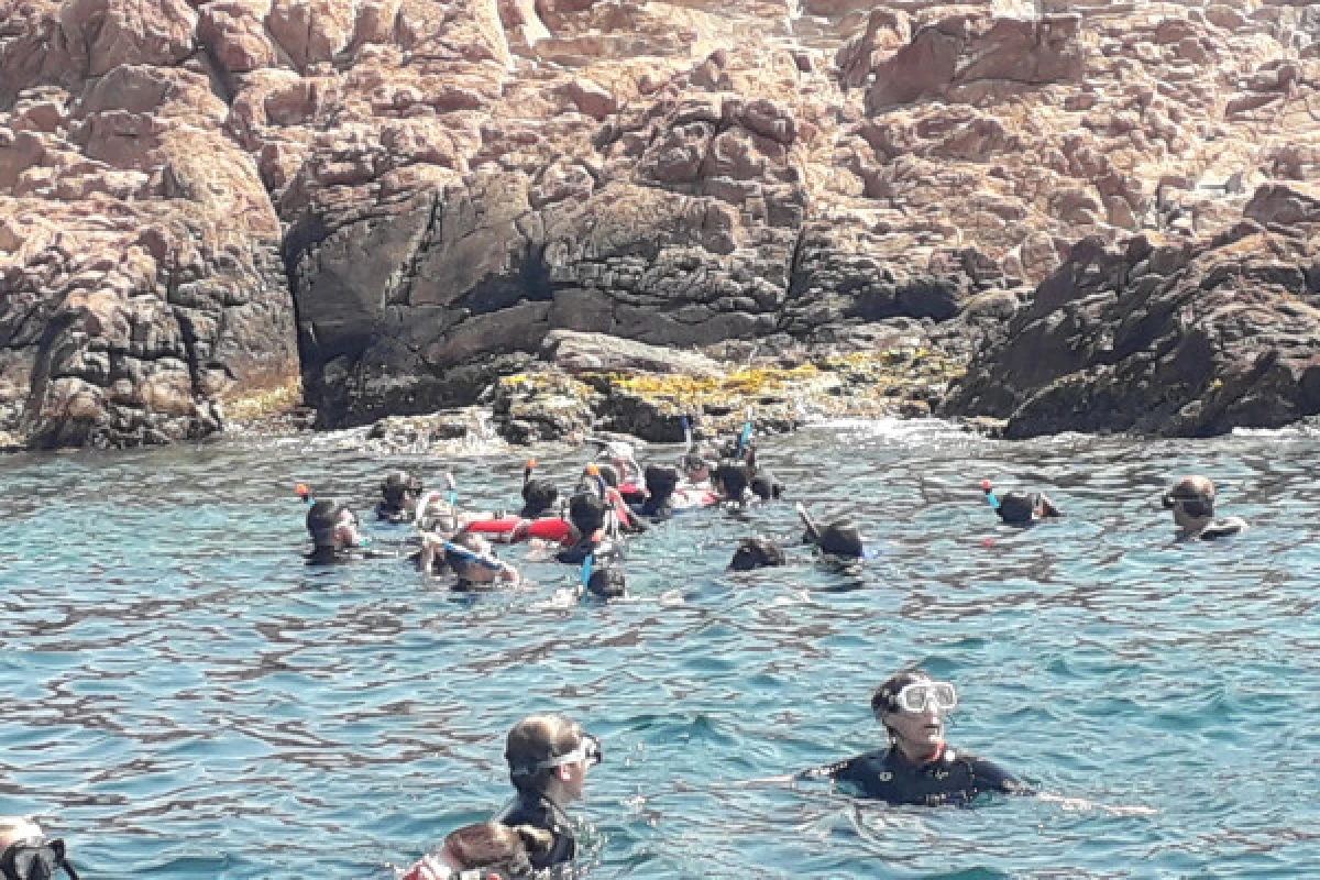 Snorkeling - Port Fréjus - Expérience Côte d'Azur