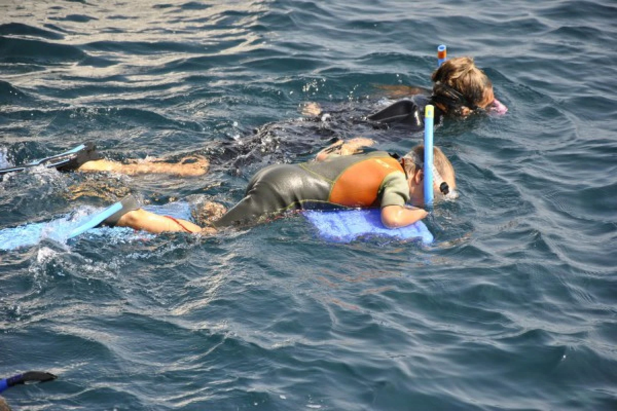 Snorkeling supervised with instructor - Les Issambres - Expérience Côte d'Azur