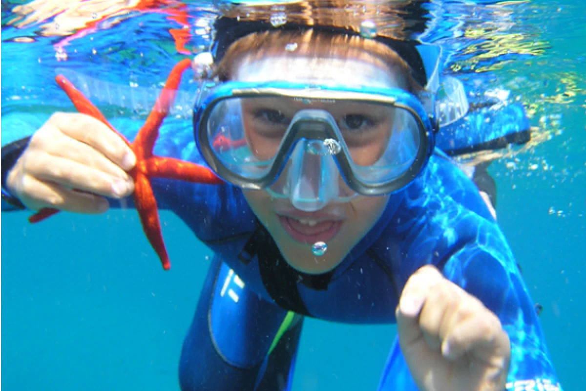 Snorkeling supervised with instructor - Les Issambres - Expérience Côte d'Azur