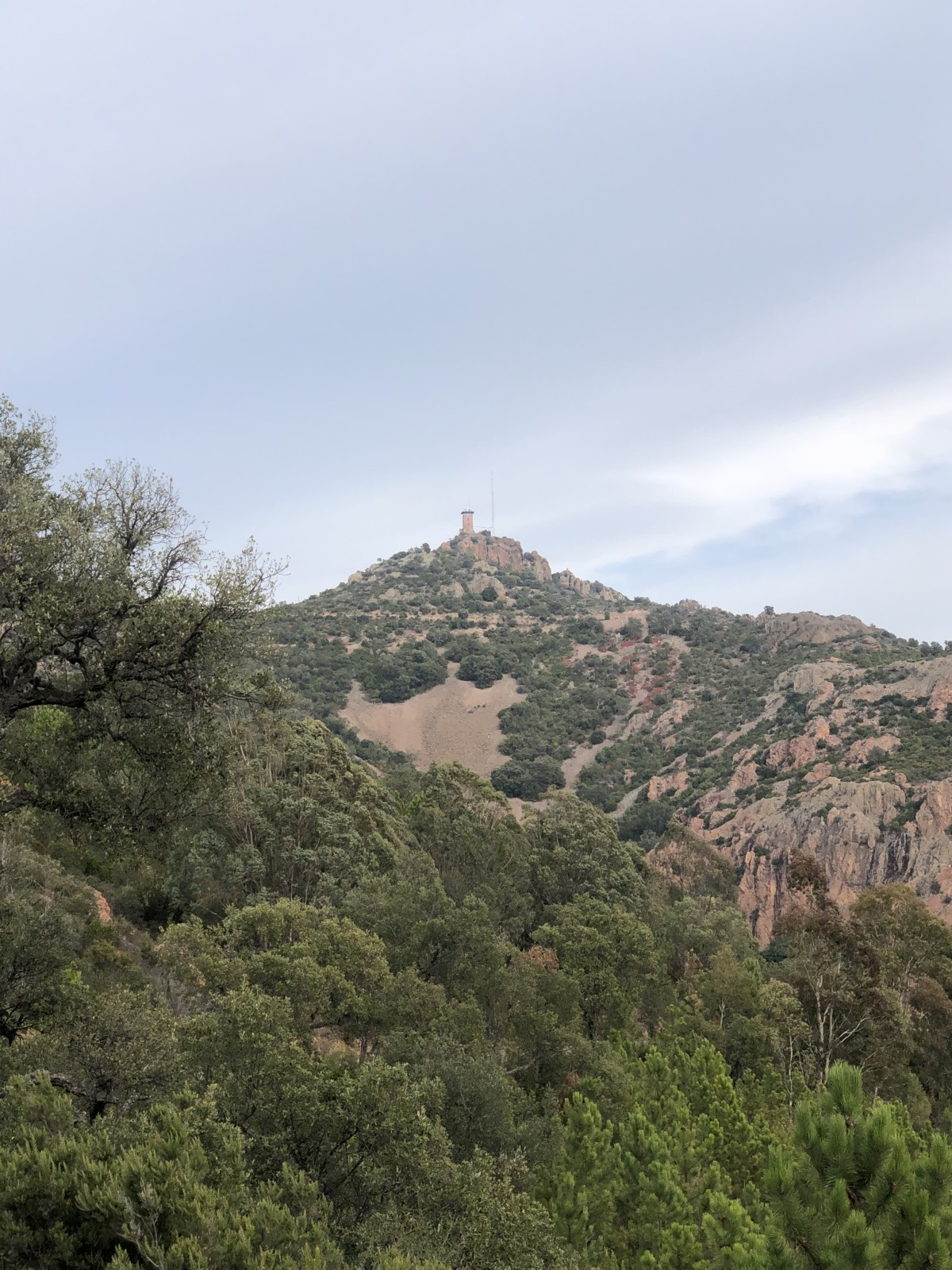 Sporty hike at Mont Vinaigre - Expérience Côte d'Azur