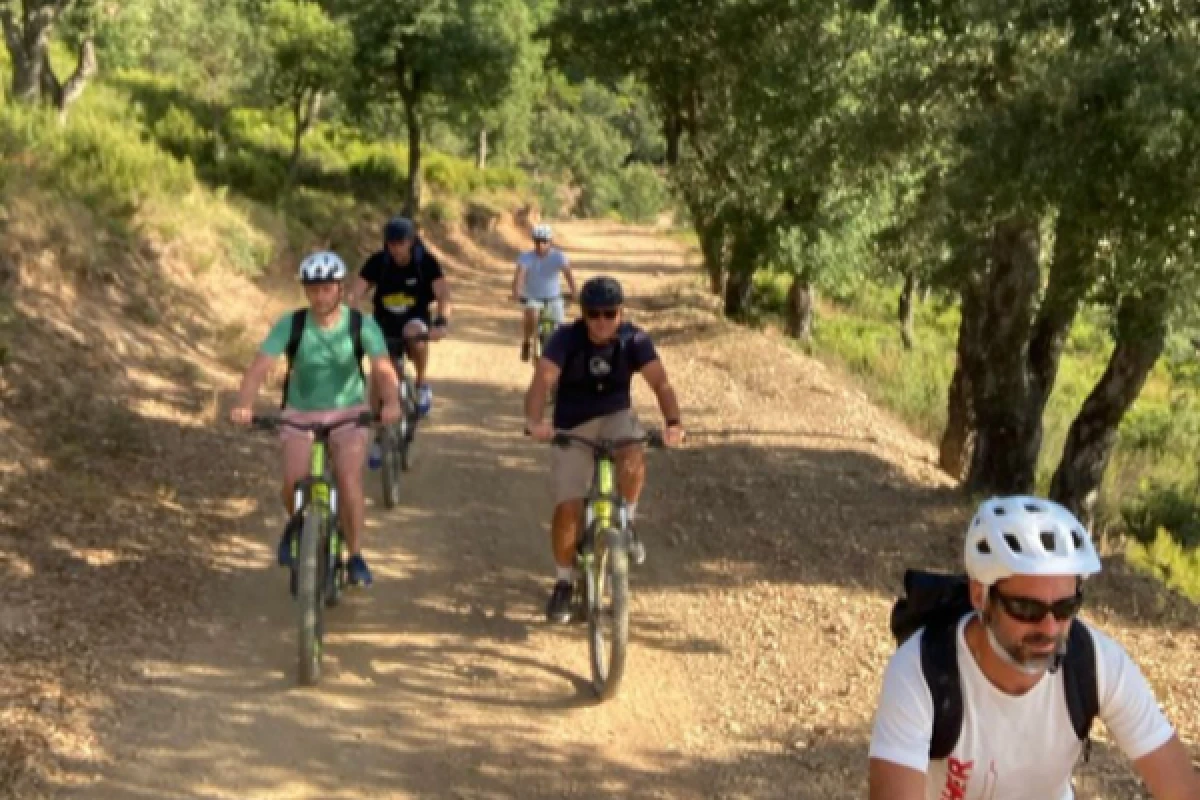 Electric moutain bike excursion in Saint-Tropez gulf - Expérience Côte d'Azur