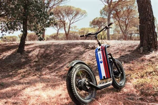 Expérience Côte d'Azur | All terrain electric scooter ride - Forestry