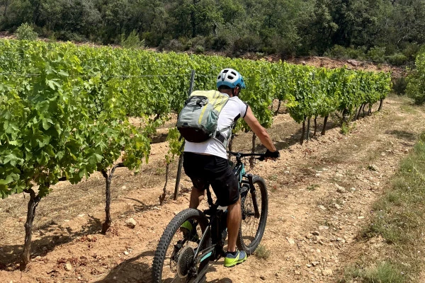 Electric assisted mountain bike ride - Expérience Côte d'Azur