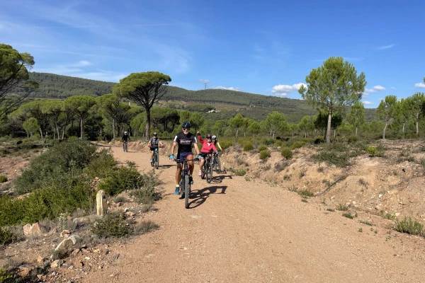 Electric assisted mountain bike ride - Expérience Côte d'Azur