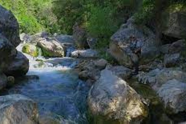 Electric assisted mountain bike ride - Expérience Côte d'Azur