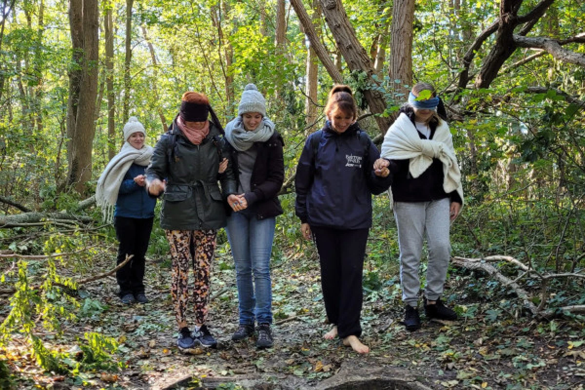 Soothe yourself by connecting with Nature - FOREST BATH - Expérience Côte d'Azur