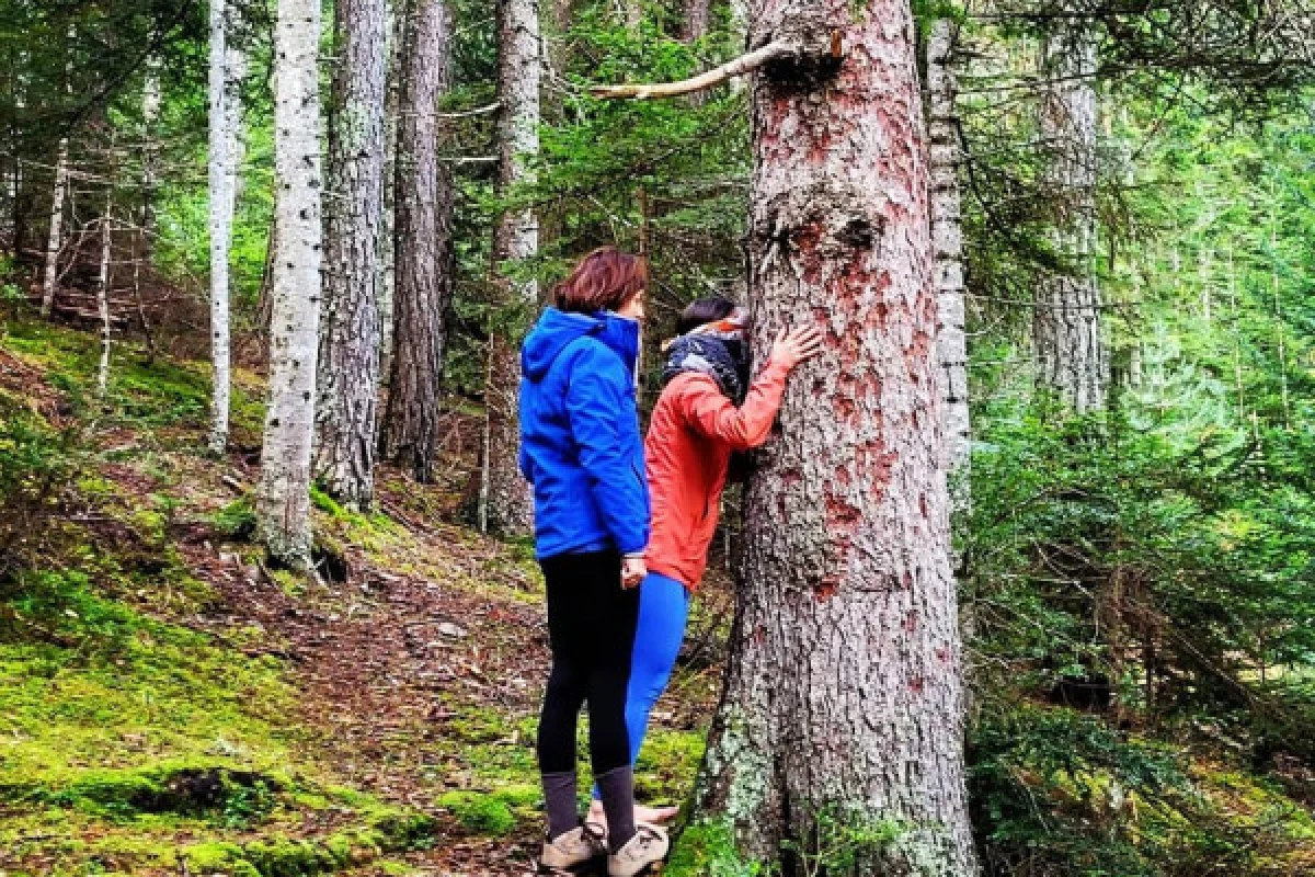 Soothe yourself by connecting with Nature - FOREST BATH - Expérience Côte d'Azur