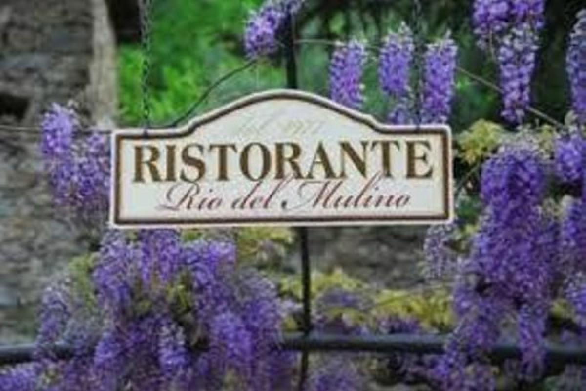 San Remo and Ligurian meal at the "Rio del Mulino" - By coach - Expérience Côte d'Azur