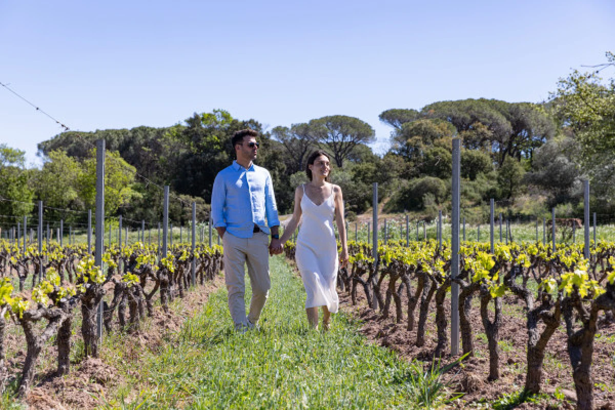 Romantic break in the heart of a charming vineyard - Fréjus - Expérience Côte d'Azur