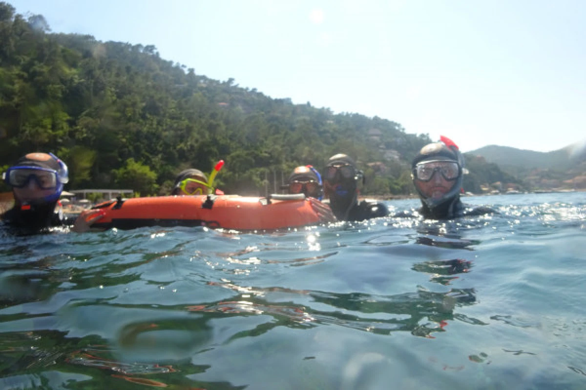 Snorkeling - Mandelieu-la-Napoule - Expérience Côte d'Azur